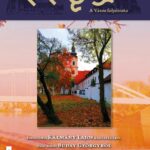 Szeged, 2020. január