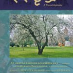 Szeged, 2018. április