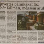 kszr_dm_20200121_p6_csengele