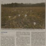 kszr_dm_20200220_p16_asotthalom