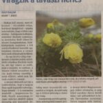 kszr_dm_20200326_p16_asotthalom