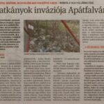 kszr_dm_20200328_p5_apatfalva