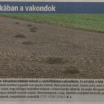 kszr_dm_20200409_p1_arpadhalom