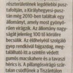 kszr_dm_20200515_p4_kiralyhegyes