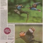 kszr_dm_20200623_p9_asotthalom