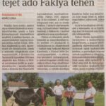 kszr_dm_20200701_p5_fabiansebestyen