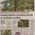 kszr_dm_20200722_p9_asotthalom