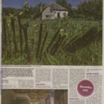 kszr_dm_20200827_p8_asotthalom