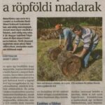 kszr_dm_20200919_p13_asotthalom