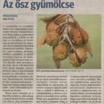 kszr_dm_20201012_p16_opusztaszer
