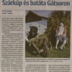 kszr_dm_20201013_p16_asotthalom