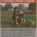 kszr_dm_20201022_p1_csanytelek