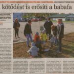 kszr_dm_20201022_p5_csanytelek