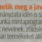 kszr_dm_20201105_p1_apatfalva