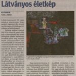 kszr_dm_20201204_p20_kiszombor