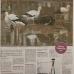 kszr_dm_20201219_p15_asotthalom