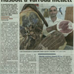 delmagyarorszag_20140410_p07_ujszentivan9d27