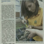 delmagyarorszag_20140909_p16_tiszaszigetcbec