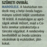 delmagyarorszag_20141106_p6_maroslele