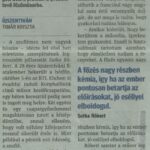 delmagyarorszag_20151010_p02_ujszentivandb05