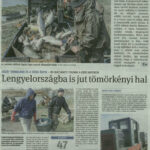 dm20160331_p1_186_tomorkeny9fa0