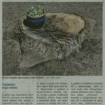 dm20180510_p16_tomorkeny4a8f