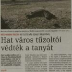 dm20190228_p4_tomorkenydcb7