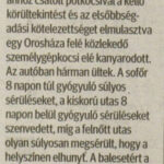 kszr_dm_20210804_p2_szekkutas