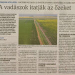 kszr_dm_20210805_p3_szegvar