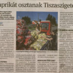 kszr_dm_20210813_p3_tiszasziget