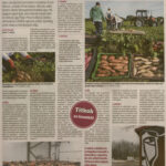 kszr_dm_20210206_p13_asotthalom