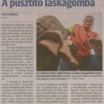 kszr_dm_20211222_p16_pusztamerges