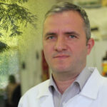 Fűben-fában orvosság?