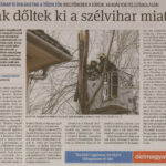 kszr_dm_20220201_p2_szegvar