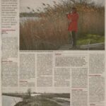 kszr_dm_20220312_p16_pusztaszer