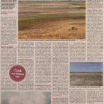 kszr_dm_20220319_p17_pusztaszer
