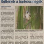 kszr_dm_20220426_p16_szekkutas