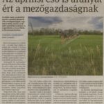 kszr_dm_20220503_p3_klarafalva