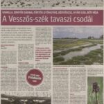kszr_dm_20220507_p11_pusztaszer