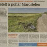 kszr_dm_20220520_p5_maroslele