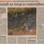 kszr_dm_20220525_p4_kiralyhegyes