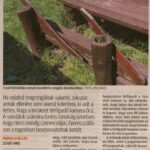 kszr_dm_20220525_p5_ferencszallas