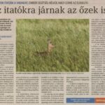 kszr_dm_20220702_p6_arpadhalom