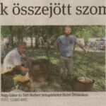 kszr_dm_20220704_p1_ofoldeak