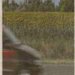 kszr_dm_20220708_p1_arpadhalom