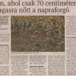 kszr_dm_20220708_p4_arpadhalom