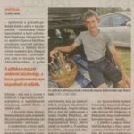 kszr_dm_20220711_p5_apatfalva
