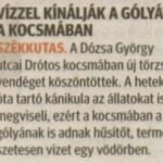 kszr_dm_20220725_p4_szekkutas