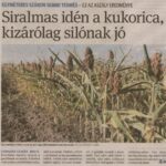 kszr_dm_20220805_p1_arpadhalom