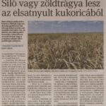 kszr_dm_20220805_p2_arpadhalom